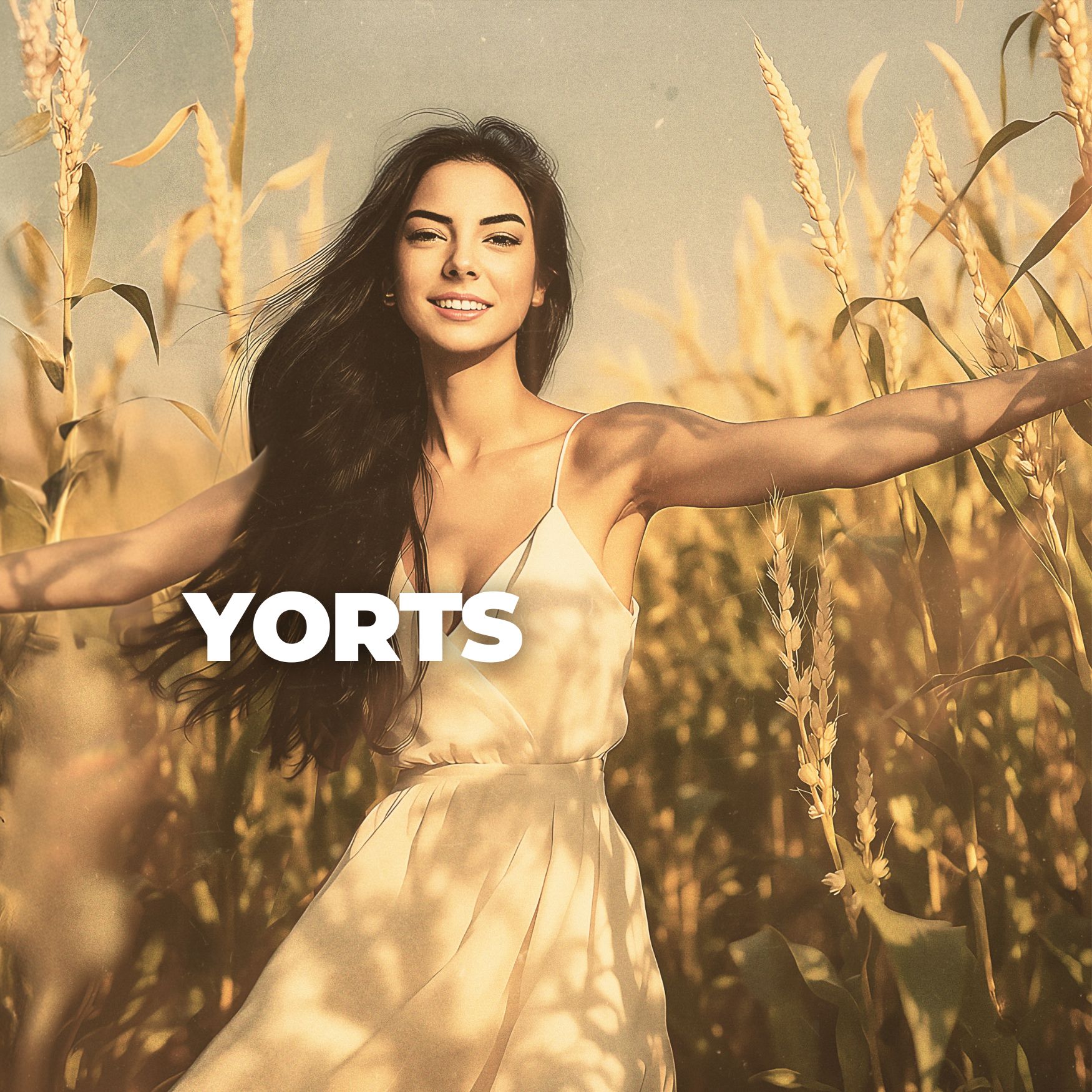 Yorts Cover